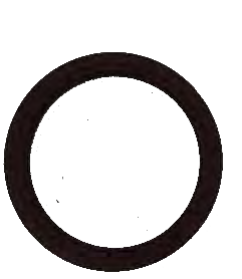 KRANK ARKA KEÇE - 3 15 006