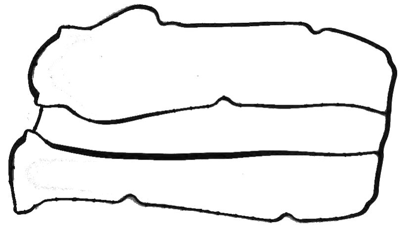 SUBAP KAPAK CONTASI - 17.1251.020