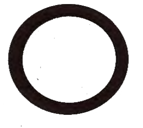 TERMOSTAT BASKI LASTİĞİ 17.1602.141